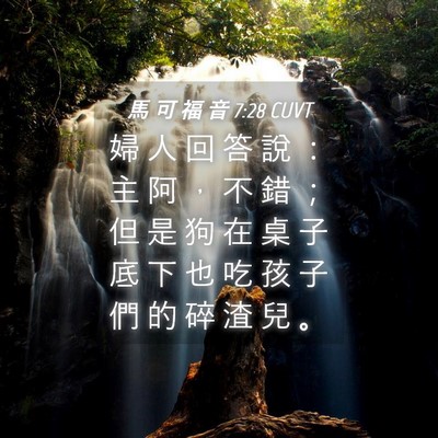 Picture 04 - 馬 可 福 音 7:28 CUVT - 婦 人 回 答 說 ： 主 阿 ， 不 錯 ； - Bible Verse Picture