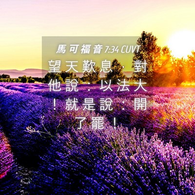 Picture 04 - 馬 可 福 音 7:34 CUVT - 望 天 歎 息 ， 對 他 說 ： 以 法 大 - Bible Verse Picture