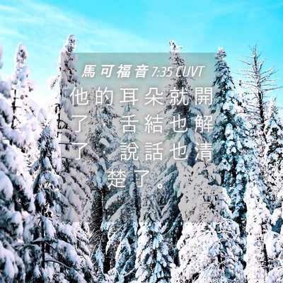 Picture 04 - 馬 可 福 音 7:35 CUVT - 他 的 耳 朵 就 開 了 ， 舌 結 也 解 - Bible Verse Picture
