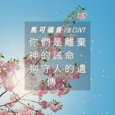 Picture 04 - 馬 可 福 音 7:8 CUVT - 你 們 是 離 棄 神 的 誡 命 ， 拘 守 - Bible Verse Picture