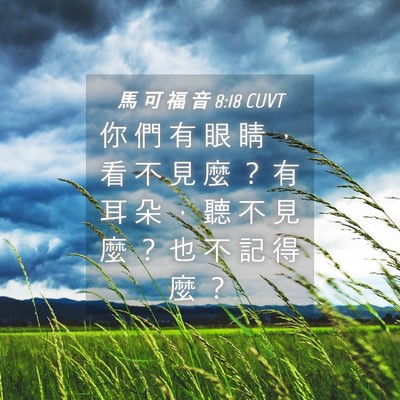 Picture 04 - 馬 可 福 音 8:18 CUVT - 你 們 有 眼 睛 ， 看 不 見 麼 ？ 有 - Bible Verse Picture