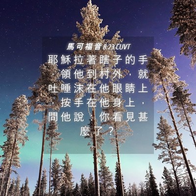 Picture 04 - 馬 可 福 音 8:23 CUVT - 耶 穌 拉 著 瞎 子 的 手 ， 領 他 到 - Bible Verse Picture