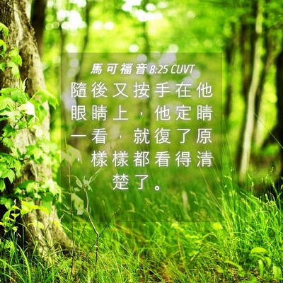 Picture 04 - 馬 可 福 音 8:25 CUVT - 隨 後 又 按 手 在 他 眼 睛 上 ， 他 - Bible Verse Picture