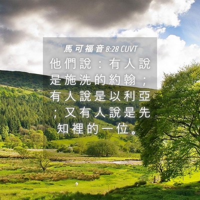 Picture 04 - 馬 可 福 音 8:28 CUVT - 他 們 說 ： 有 人 說 是 施 洗 的 約 - Bible Verse Picture