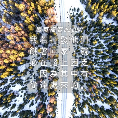 Picture 04 - 馬 可 福 音 8:3 CUVT - 我 若 打 發 他 們 餓 著 回 家 ， 就 - Bible Verse Picture