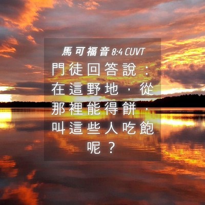 Picture 04 - 馬 可 福 音 8:4 CUVT - 門 徒 回 答 說 ： 在 這 野 地 ， 從 - Bible Verse Picture