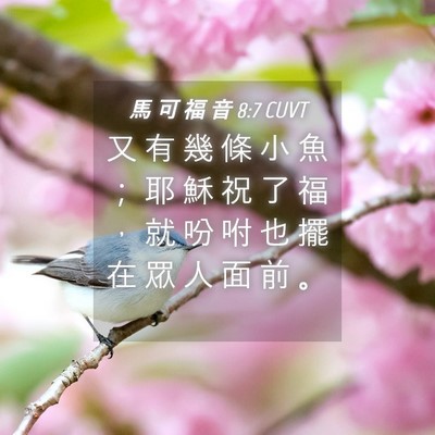 Picture 04 - 馬 可 福 音 8:7 CUVT - 又 有 幾 條 小 魚 ； 耶 穌 祝 了 福 - Bible Verse Picture