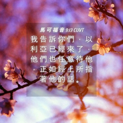 Picture 04 - 馬 可 福 音 9:13 CUVT - 我 告 訴 你 們 ， 以 利 亞 已 經 來 - Bible Verse Picture