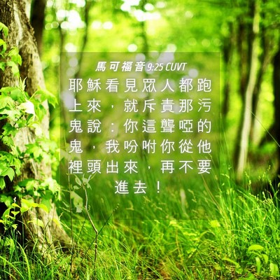 Picture 04 - 馬 可 福 音 9:25 CUVT - 耶 穌 看 見 眾 人 都 跑 上 來 ， 就 - Bible Verse Picture
