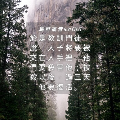 Picture 04 - 馬 可 福 音 9:31 CUVT - 於 是 教 訓 門 徒 ， 說 ： 人 子 將 - Bible Verse Picture