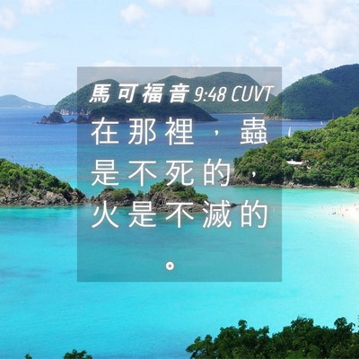 Picture 04 - 馬 可 福 音 9:48 CUVT - 在 那 裡 ， 蟲 是 不 死 的 ， 火 是 - Bible Verse Picture