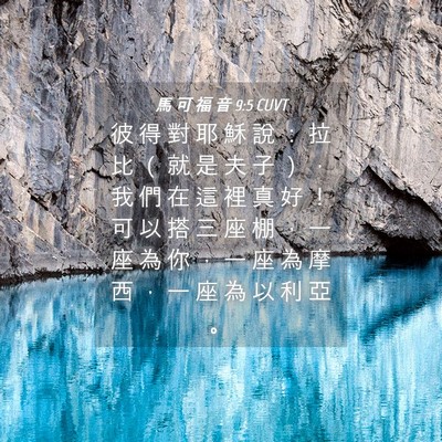 Picture 04 - 馬 可 福 音 9:5 CUVT - 彼 得 對 耶 穌 說 ： 拉 比 （ 就 是 - Bible Verse Picture