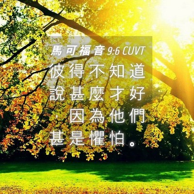 Picture 04 - 馬 可 福 音 9:6 CUVT - 彼 得 不 知 道 說 甚 麼 才 好 ， 因 - Bible Verse Picture