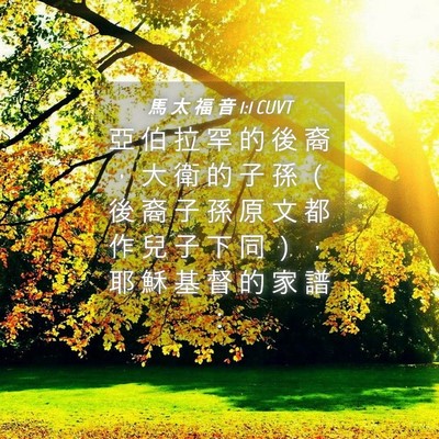 Picture 04 - 馬 太 福 音 1:1 CUVT - 亞 伯 拉 罕 的 後 裔 ， 大 衛 的 子 - Bible Verse Picture