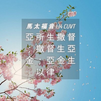 Picture 04 - 馬 太 福 音 1:14 CUVT - 亞 所 生 撒 督 ； 撒 督 生 亞 金 ； - Bible Verse Picture