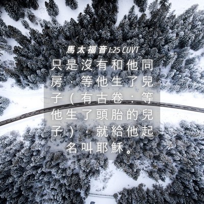 Picture 04 - 馬 太 福 音 1:25 CUVT - 只 是 沒 有 和 他 同 房 ， 等 他 生 - Bible Verse Picture
