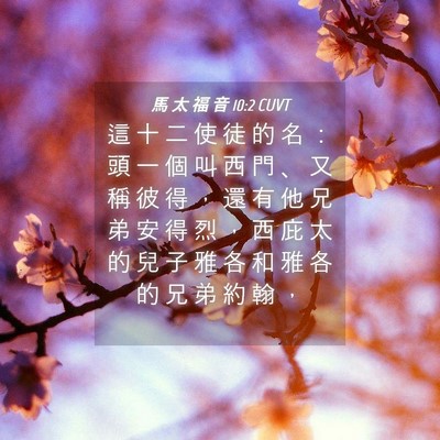 Picture 04 - 馬 太 福 音 10:2 CUVT - 這 十 二 使 徒 的 名 ： 頭 一 個 叫 - Bible Verse Picture