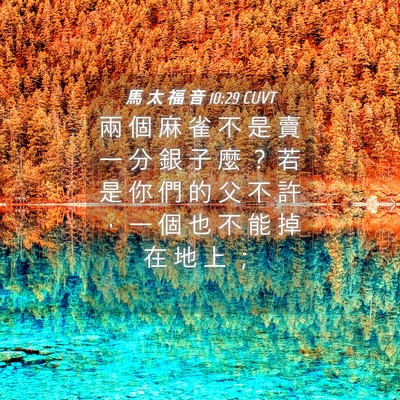 Picture 04 - 馬 太 福 音 10:29 CUVT - 兩 個 麻 雀 不 是 賣 一 分 銀 子 麼 - Bible Verse Picture