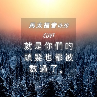 Picture 04 - 馬 太 福 音 10:30 CUVT - 就 是 你 們 的 頭 髮 也 都 被 數 過 - Bible Verse Picture