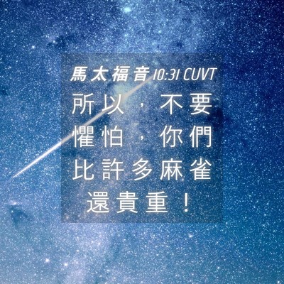 Picture 04 - 馬 太 福 音 10:31 CUVT - 所 以 ， 不 要 懼 怕 ， 你 們 比 許 - Bible Verse Picture