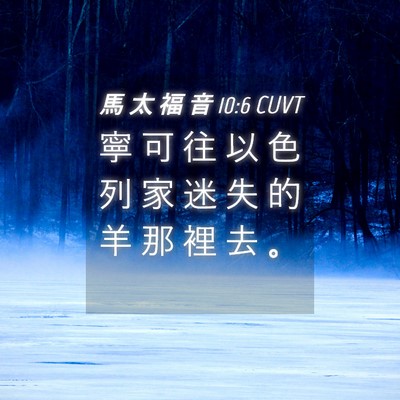 Picture 04 - 馬 太 福 音 10:6 CUVT - 寧 可 往 以 色 列 家 迷 失 的 羊 那 - Bible Verse Picture