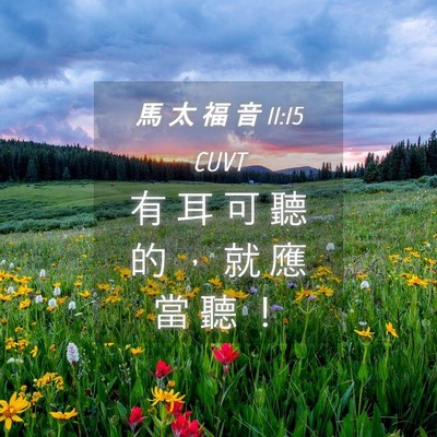 Picture 04 - 馬 太 福 音 11:15 CUVT - 有 耳 可 聽 的 ， 就 應 當 聽 - Bible Verse Picture