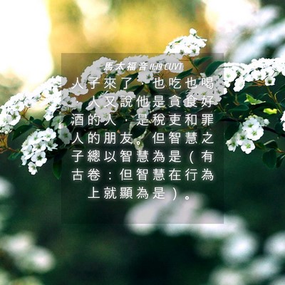 Picture 04 - 馬 太 福 音 11:19 CUVT - 人 子 來 了 ， 也 吃 也 喝 ， 人 又 - Bible Verse Picture