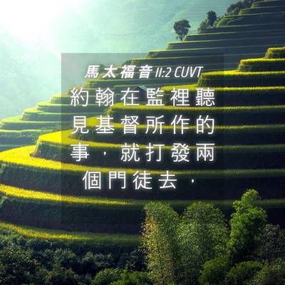 Picture 04 - 馬 太 福 音 11:2 CUVT - 約 翰 在 監 裡 聽 見 基 督 所 作 的 - Bible Verse Picture