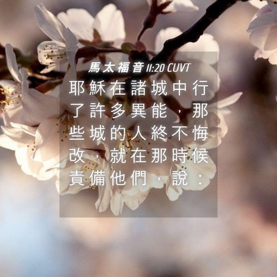 Picture 04 - 馬 太 福 音 11:20 CUVT - 耶 穌 在 諸 城 中 行 了 許 多 異 能 - Bible Verse Picture