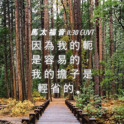 Picture 04 - 馬 太 福 音 11:30 CUVT - 因 為 我 的 軛 是 容 易 的 ， 我 的 - Bible Verse Picture