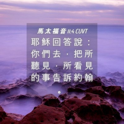 Picture 04 - 馬 太 福 音 11:4 CUVT - 耶 穌 回 答 說 ： 你 們 去 ， 把 所 - Bible Verse Picture
