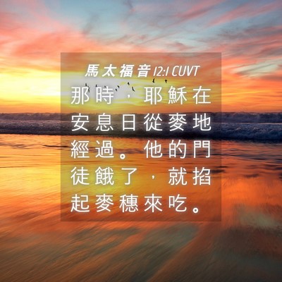 Picture 04 - 馬 太 福 音 12:1 CUVT - 那 時 ， 耶 穌 在 安 息 日 從 麥 地 - Bible Verse Picture