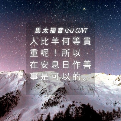 Picture 04 - 馬 太 福 音 12:12 CUVT - 人 比 羊 何 等 貴 重 呢 ！ 所 以 ， - Bible Verse Picture