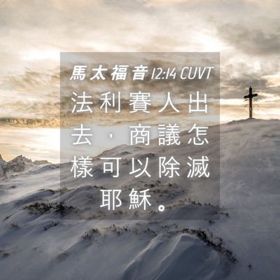 Picture 04 - 馬 太 福 音 12:14 CUVT - 法 利 賽 人 出 去 ， 商 議 怎 樣 可 - Bible Verse Picture