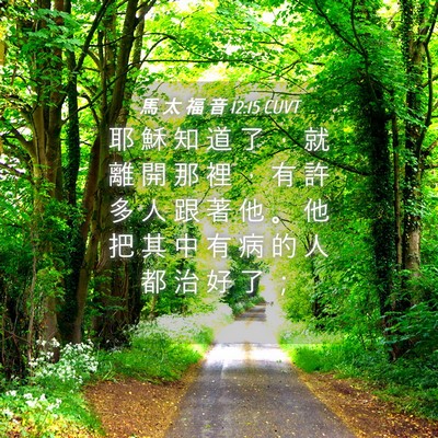 Picture 04 - 馬 太 福 音 12:15 CUVT - 耶 穌 知 道 了 ， 就 離 開 那 裡 ， - Bible Verse Picture