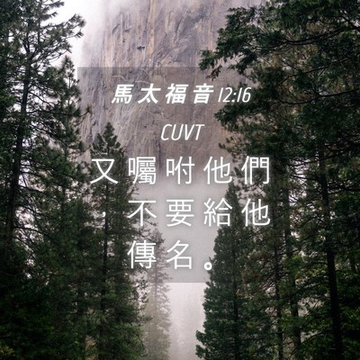 Picture 04 - 馬 太 福 音 12:16 CUVT - 又 囑 咐 他 們 ， 不 要 給 他 傳 名 - Bible Verse Picture