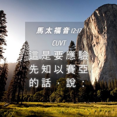 Picture 04 - 馬 太 福 音 12:17 CUVT - 這 是 要 應 驗 先 知 以 賽 亞 的 話 - Bible Verse Picture