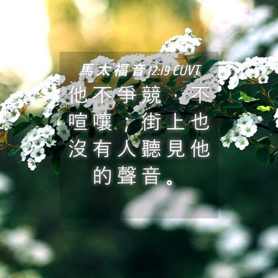 Picture 04 - 馬 太 福 音 12:19 CUVT - 他 不 爭 競 ， 不 喧 嚷 ； 街 上 也 - Bible Verse Picture