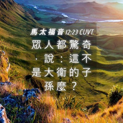 Picture 04 - 馬 太 福 音 12:23 CUVT - 眾 人 都 驚 奇 ， 說 ： 這 不 是 大 - Bible Verse Picture