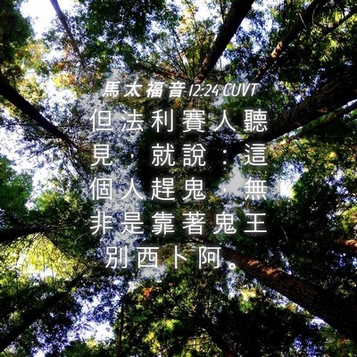 Picture 04 - 馬 太 福 音 12:24 CUVT - 但 法 利 賽 人 聽 見 ， 就 說 ： 這 - Bible Verse Picture