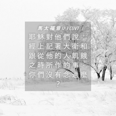 Picture 04 - 馬 太 福 音 12:3 CUVT - 耶 穌 對 他 們 說 ： 經 上 記 著 大 - Bible Verse Picture