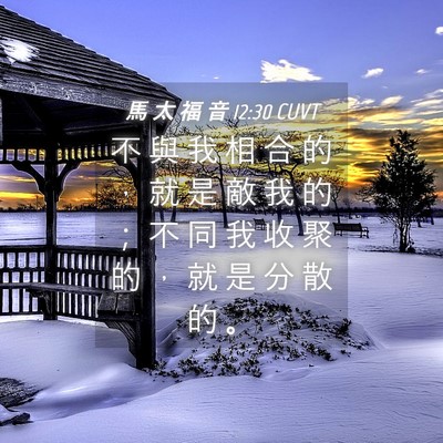 Picture 04 - 馬 太 福 音 12:30 CUVT - 不 與 我 相 合 的 ， 就 是 敵 我 的 - Bible Verse Picture