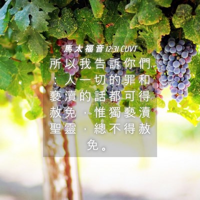 Picture 04 - 馬 太 福 音 12:31 CUVT - 所 以 我 告 訴 你 們 ： 人 一 切 的 - Bible Verse Picture