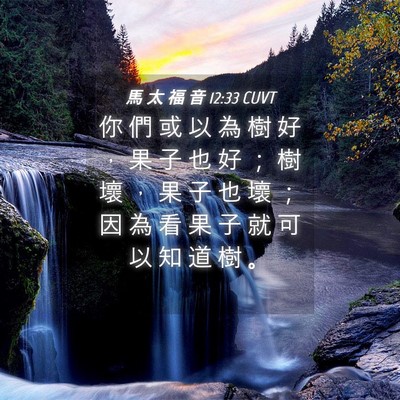 Picture 04 - 馬 太 福 音 12:33 CUVT - 你 們 或 以 為 樹 好 ， 果 子 也 好 - Bible Verse Picture