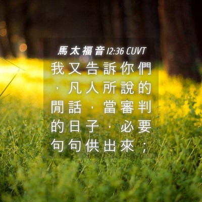 Picture 04 - 馬 太 福 音 12:36 CUVT - 我 又 告 訴 你 們 ， 凡 人 所 說 的 - Bible Verse Picture