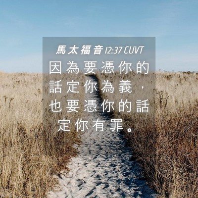 Picture 04 - 馬 太 福 音 12:37 CUVT - 因 為 要 憑 你 的 話 定 你 為 義 ， - Bible Verse Picture