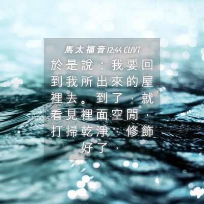 Picture 04 - 馬 太 福 音 12:44 CUVT - 於 是 說 ： 我 要 回 到 我 所 出 來 - Bible Verse Picture