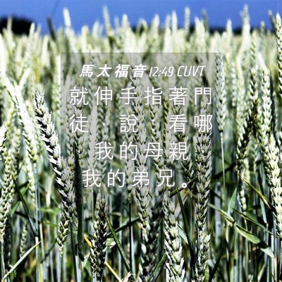 Picture 04 - 馬 太 福 音 12:49 CUVT - 就 伸 手 指 著 門 徒 ， 說 ： 看 哪 - Bible Verse Picture