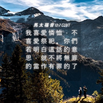 Picture 04 - 馬 太 福 音 12:7 CUVT - 我 喜 愛 憐 恤 ， 不 喜 愛 祭 祀 。 - Bible Verse Picture