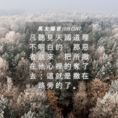 Picture 04 - 馬 太 福 音 13:19 CUVT - 凡 聽 見 天 國 道 理 不 明 白 的 ， - Bible Verse Picture